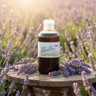 Cuir chevelu et cheveux sains, sans pellicules ni irritations, avec un effet visuel de propreté et de fraîcheur. Gros plan sur des cheveux brillants et un cuir chevelu apaisé.